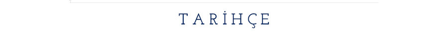 U.S. Polo Assn. history